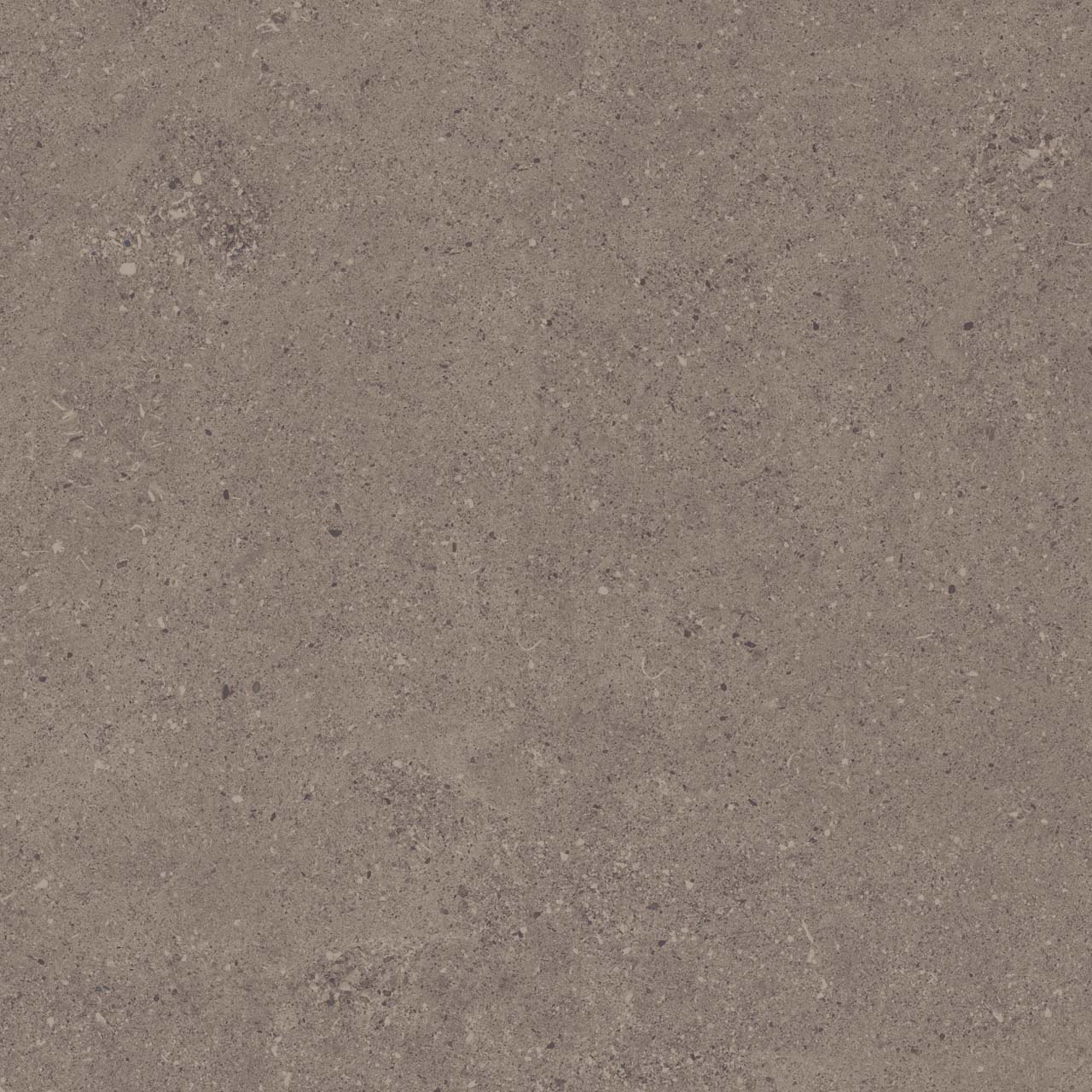 CE04/NR_R11/60x60x20R/GW На пол Спенс Темно-серый Структурированный Рект 60x60x20 - фото 5