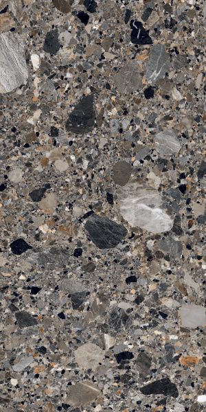 210039 На пол Porcelain Ceppo Natural Polished 60x120