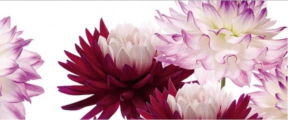 Панно Porto Dec. Flower B (из 2пл) 50х60 - фото 2