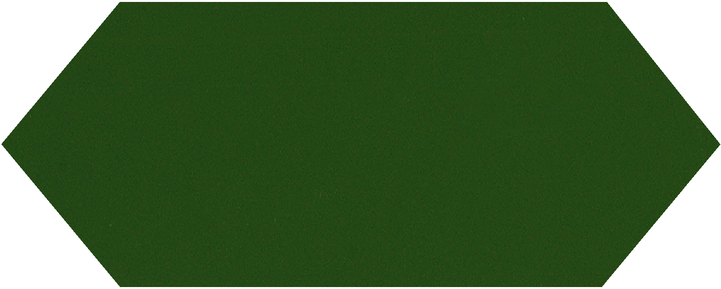 54173 Настенная Cupidon Dark Green Brillo Liso