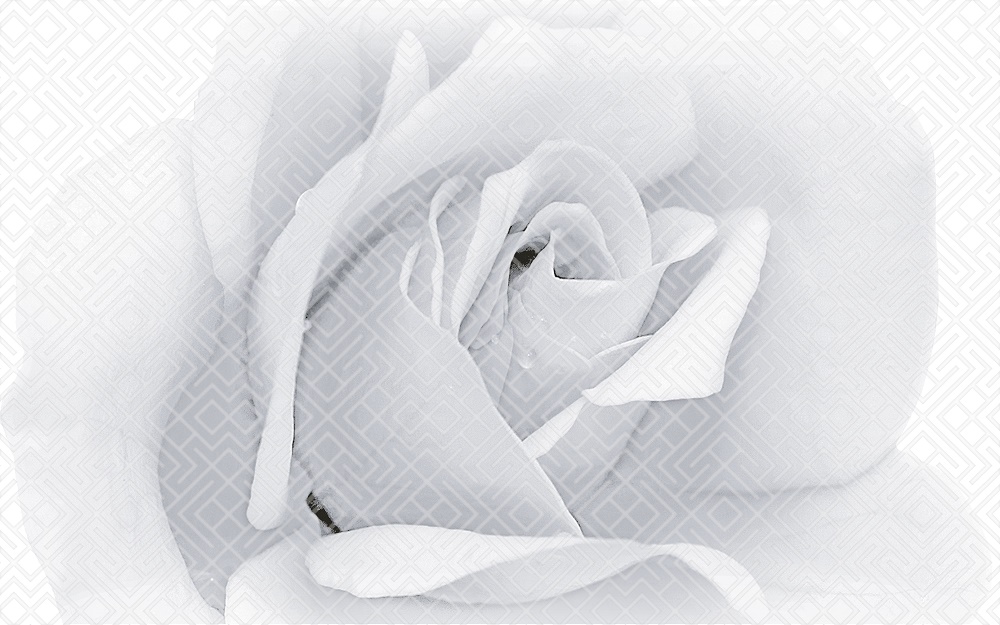 010301001885 Декор Камелия Чёрный 02 25х40