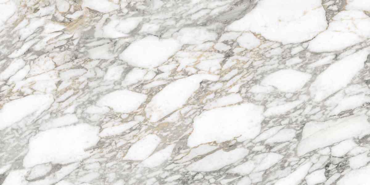 PF60011838 На пол Supreme Memories Bianco Vagli Nat Ret 60x120 - фото 6