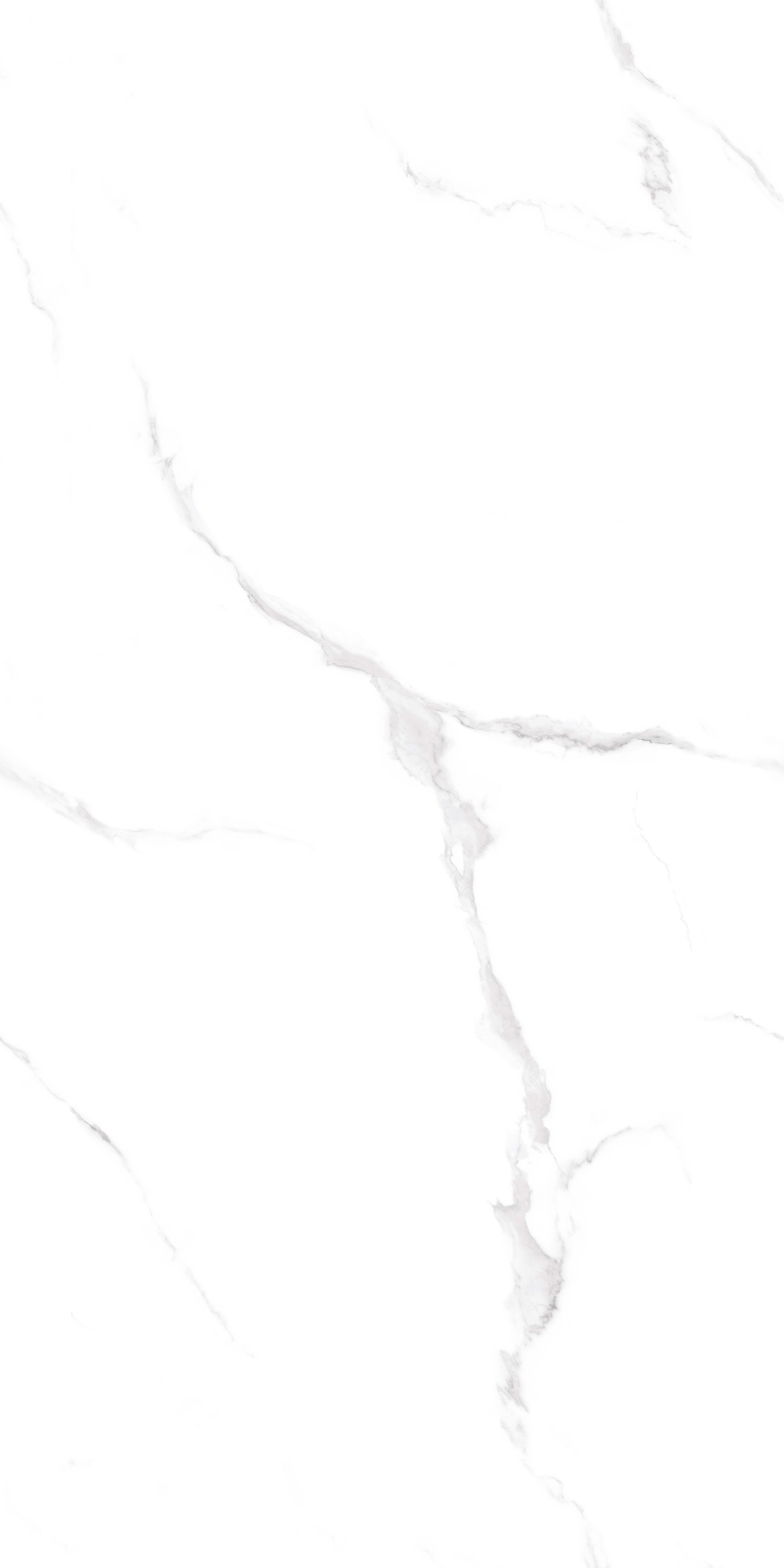 PT12J906 На пол Marble Snow Carving 1200х600х9