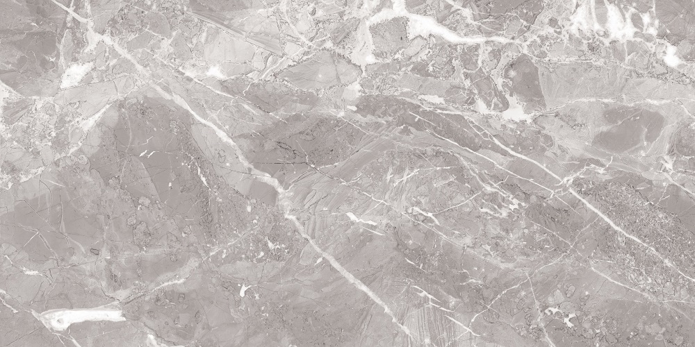 На пол Savage Grey Полированный 60x120 - фото 3