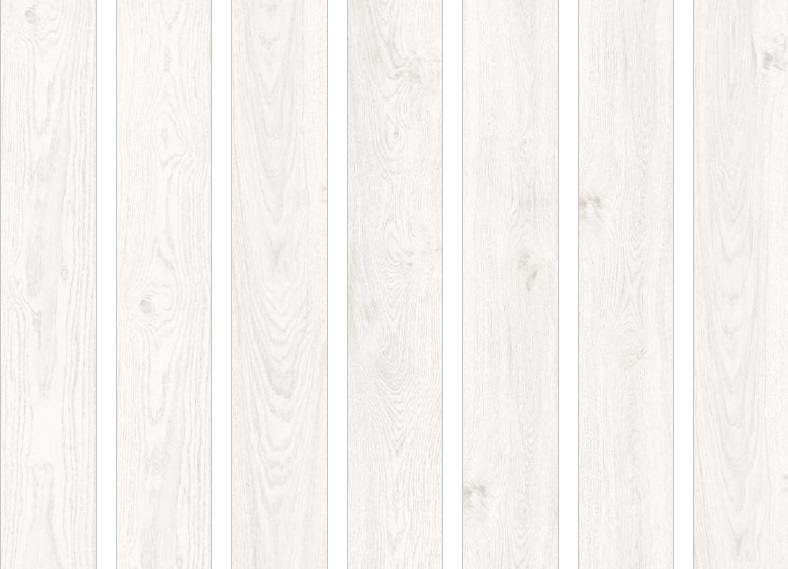 12L-002 На пол Axial Wood White Matt 20х120 - фото 2