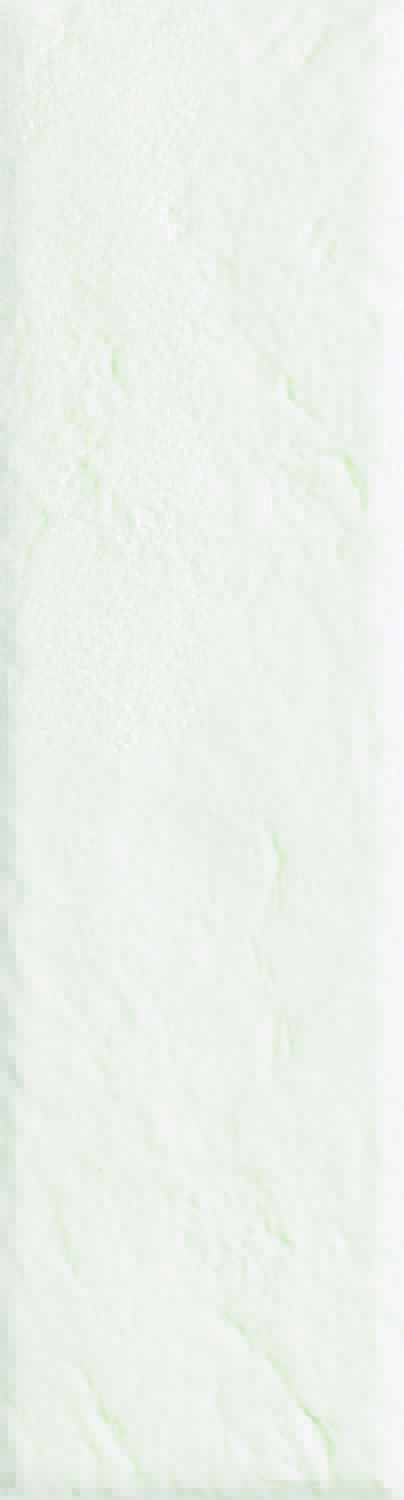 На стену Scandiano Elewacja 24.5x6.6