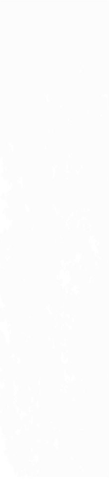 12-00-4-29-04-00-2563 На стену Magic White 5.85x24