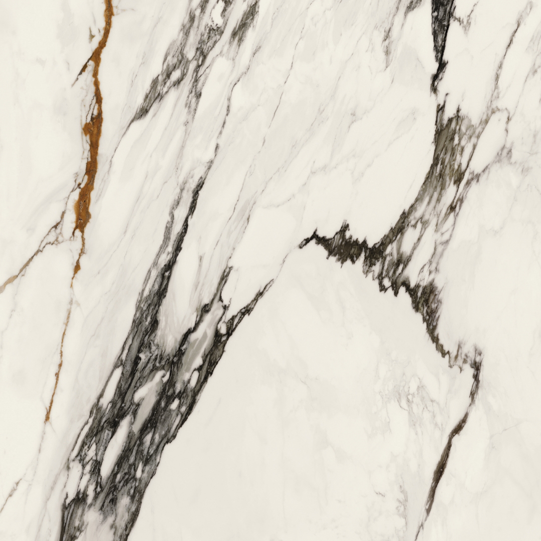 100331132 На пол Xlight Paonazzo Biondo Polished 120x120