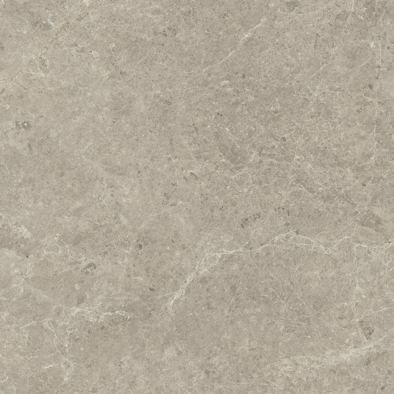 HCQ0 На пол Nyra Mist Matt 120x120 - фото 4