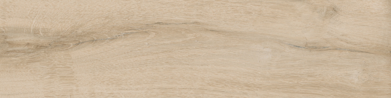 KM1040G0001N На пол Аргания Бежевый светлый матовый 9.9x40.2x0.8 - фото 17