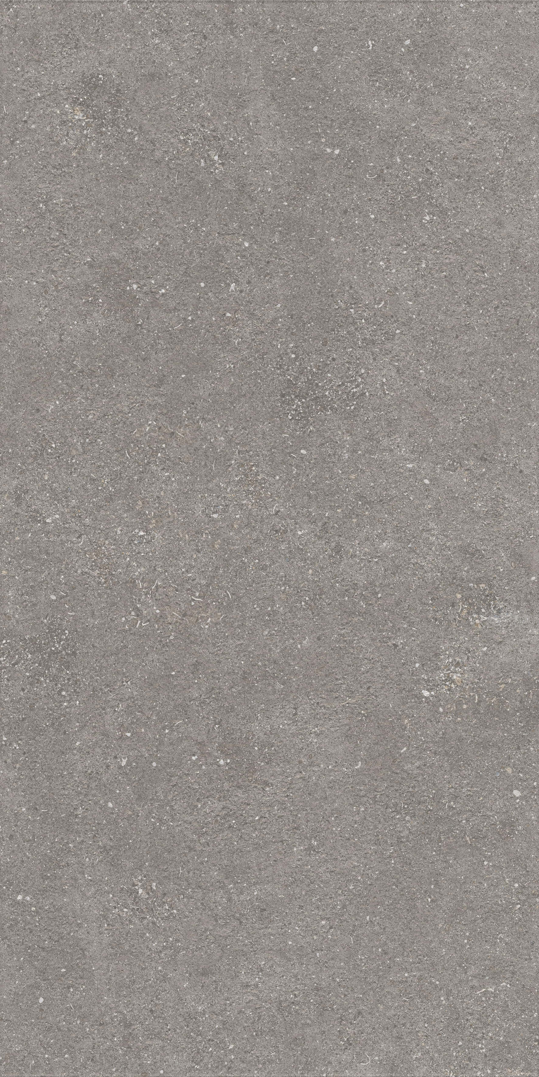 1224 На пол Stone Graniti Grey Matt Ghr 120x60 - фото 5