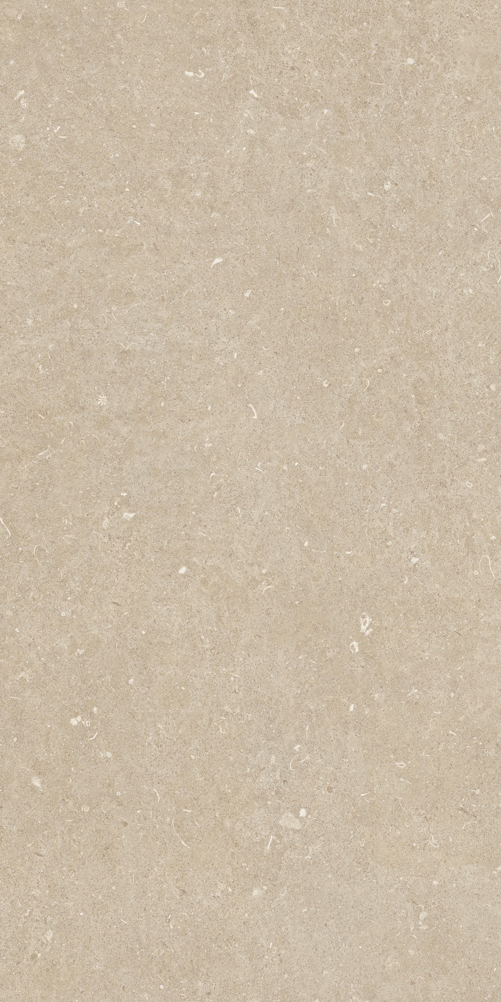 785509 На пол Rinascenza Arena Conchiglia Grip 20mm 60x120 - фото 7