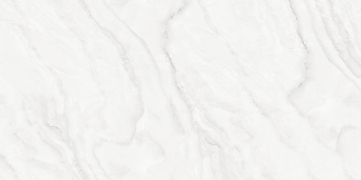 PRO 1148G На пол Silver Onix Gloss 1200x600 - фото 3