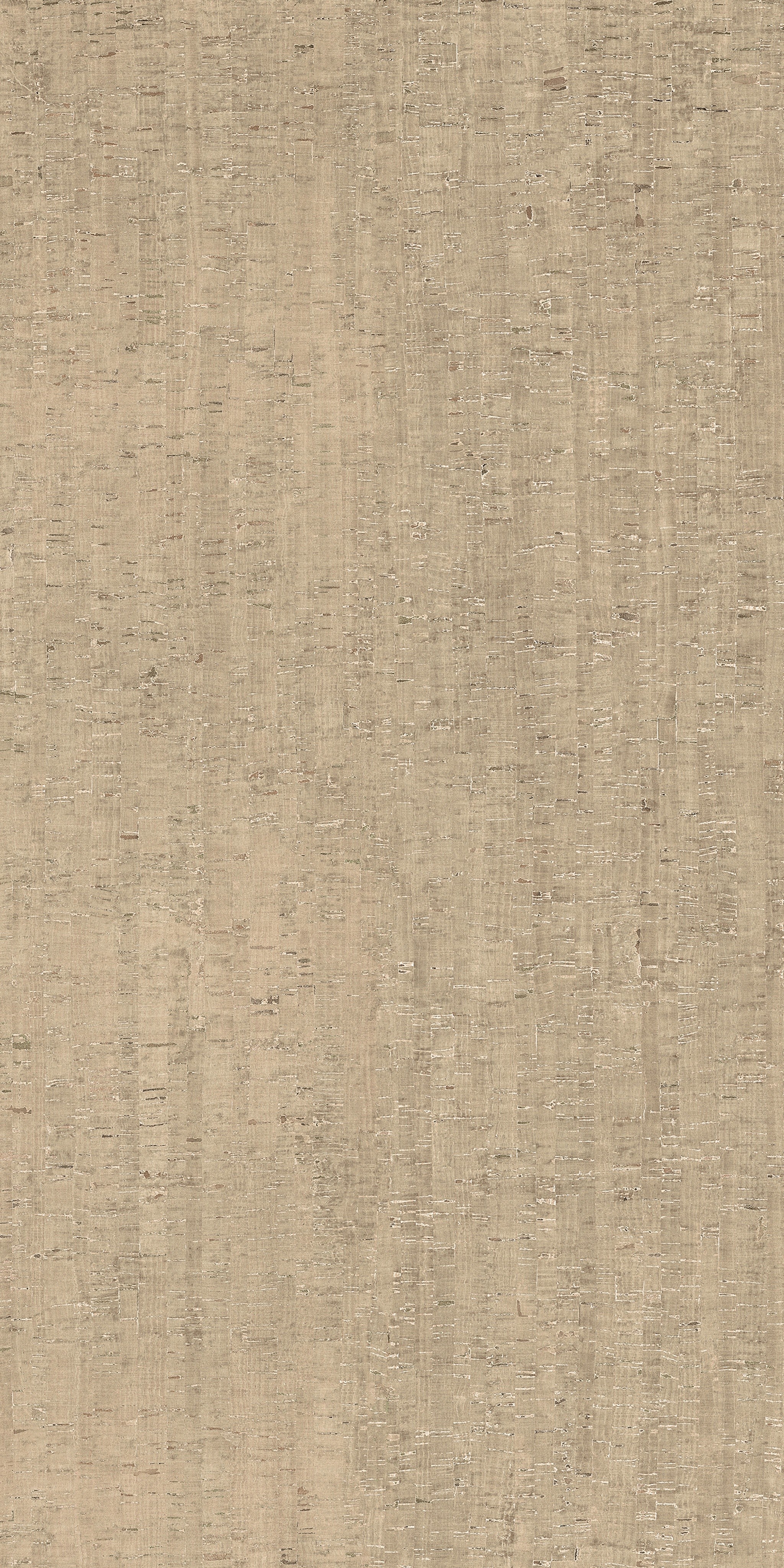 785600 На пол Rinascenza Modulo Conchiglia Matte 6mm 120x240 - фото 2