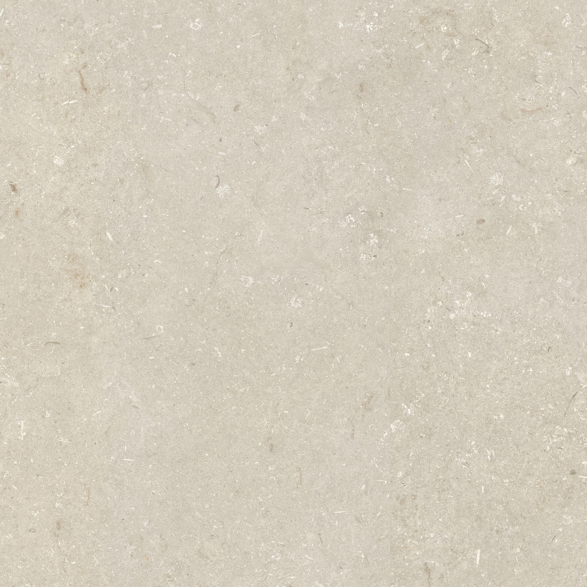 005848 На пол Shellstone Beige 120x120 - фото 2