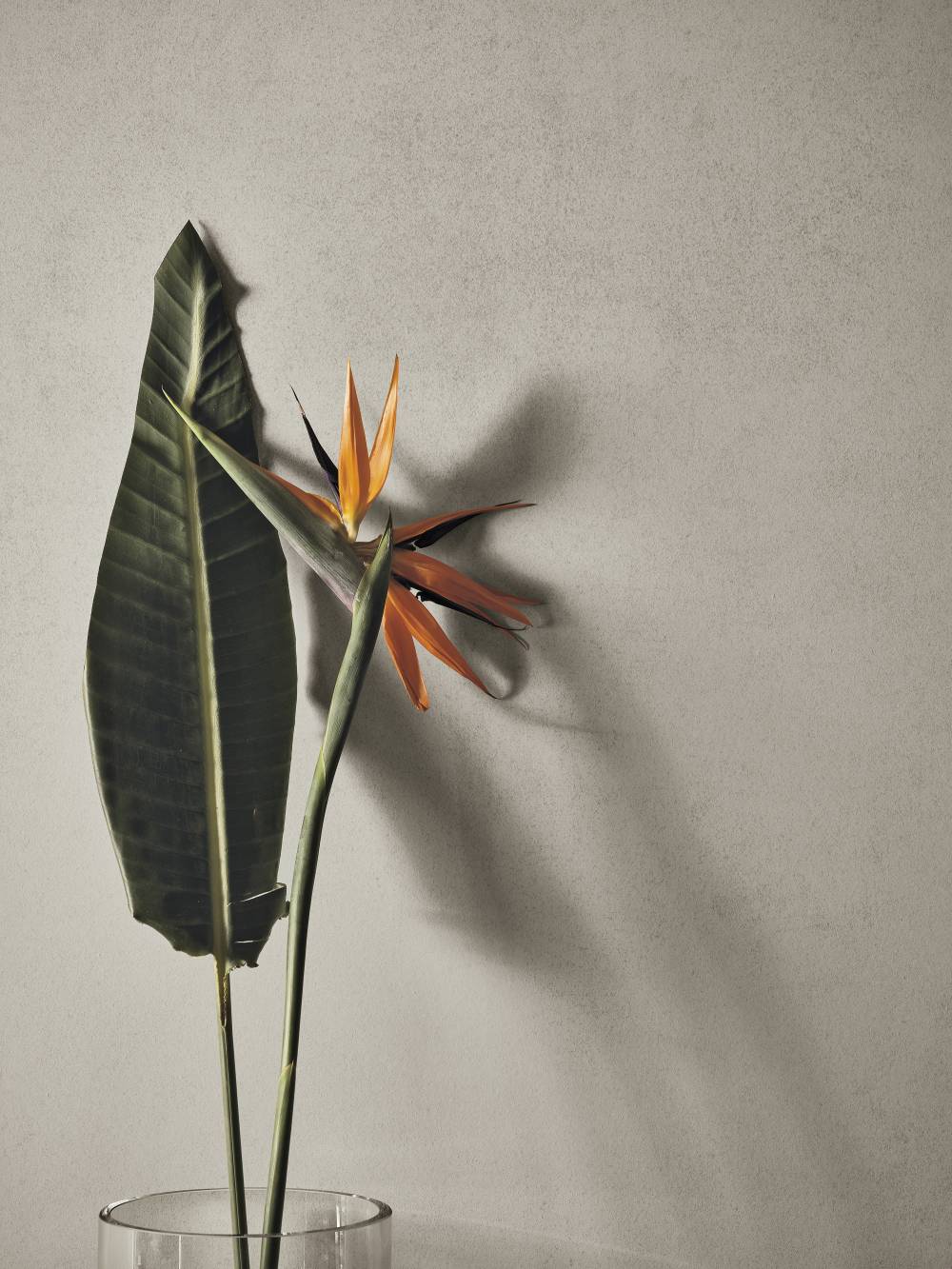 Refin Feel - фото 17