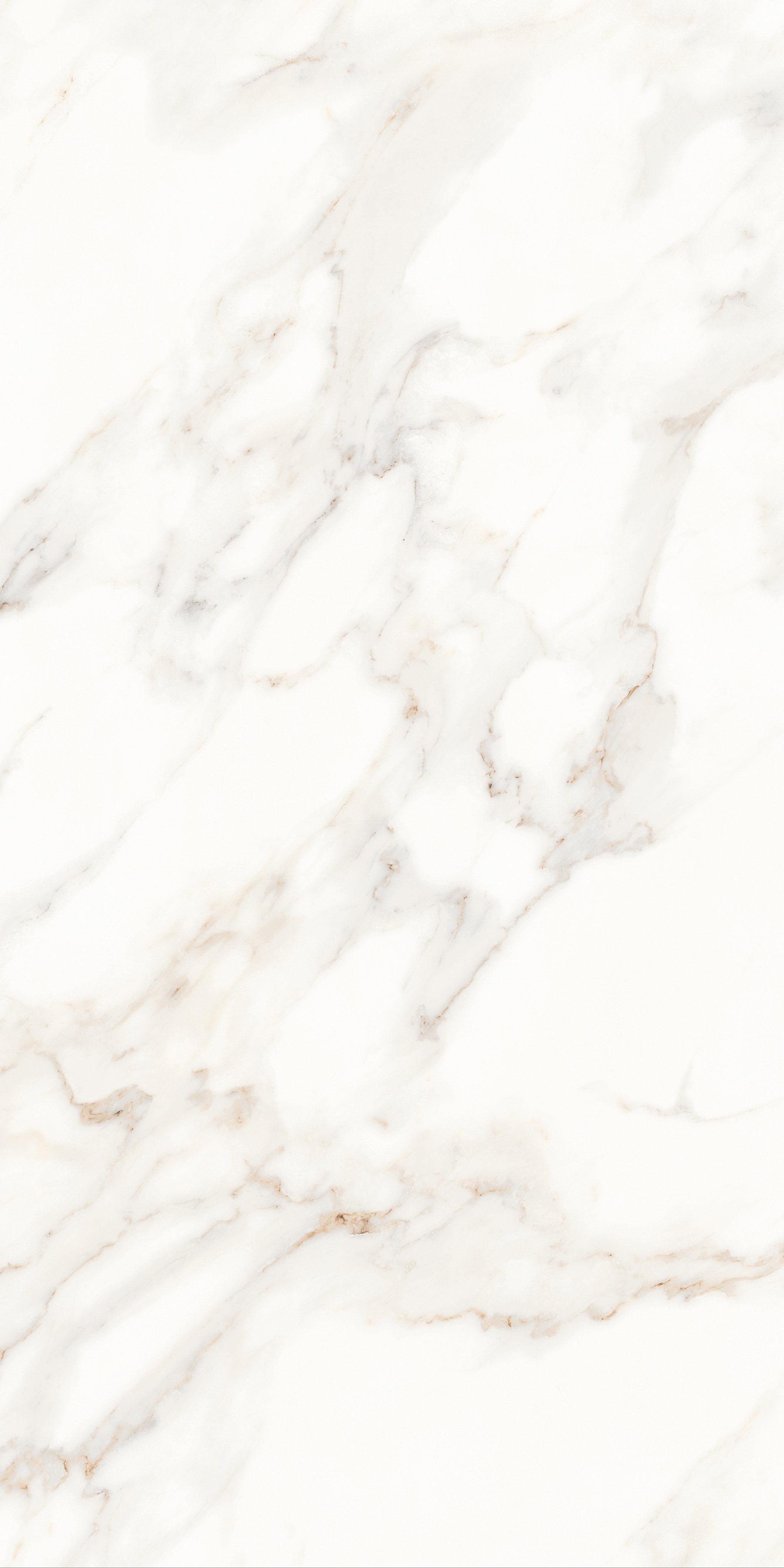 MPL-058622 На пол Calacatta Calacatta Satin 60x120 - фото 8