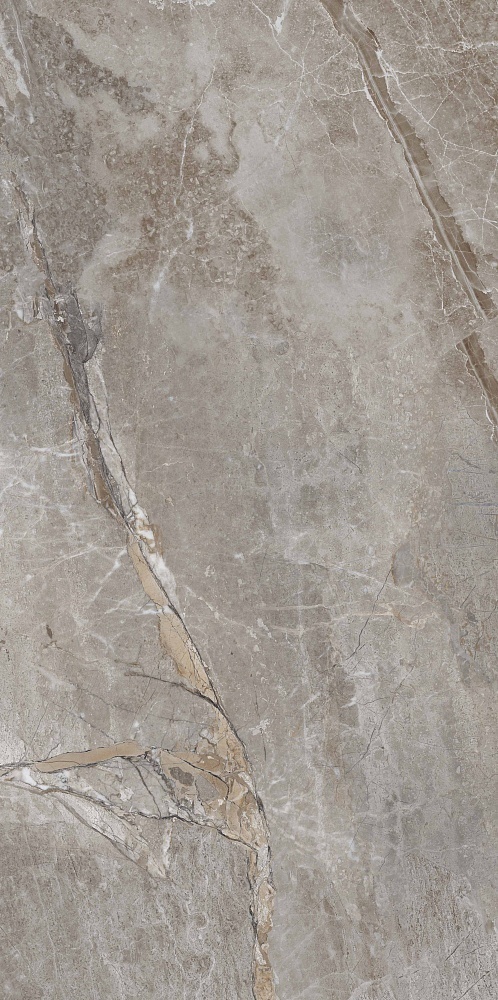 PR209 На пол Essence Grey Polished 600x1200 - фото 7