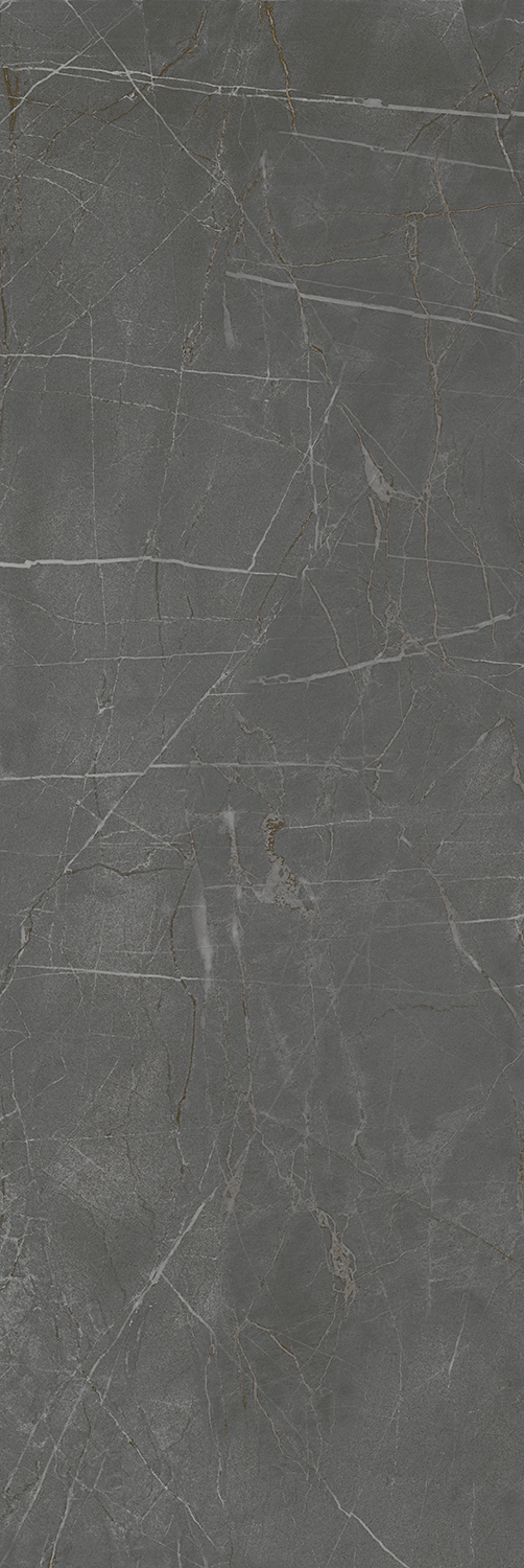13098TR На стену Буонарроти Серый темный матовый обрезной 30x89.5x0.9 - фото 8