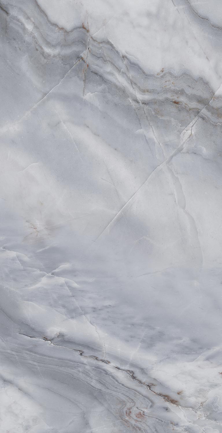 FSS12062 На пол Ariostocratic Style FSS12062 Light Luxury Pol 60x120 - фото 5