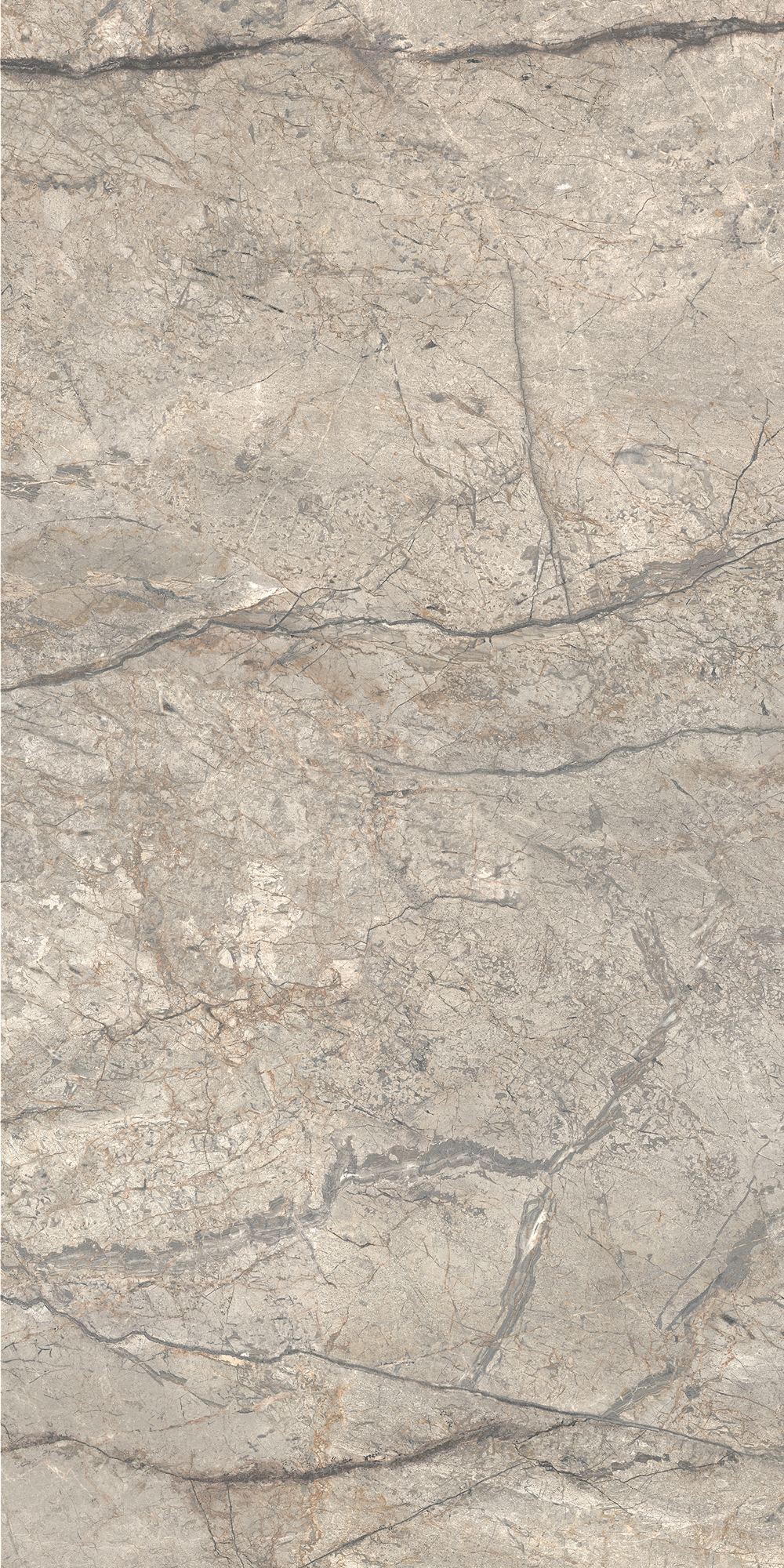 AGB6 На пол Anima Futura Silver Luc 60x120 - фото 6