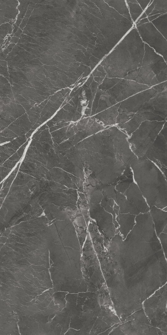 GT1206019809MHRR На пол Oscar Темно-серый матовый 60x120 - фото 2