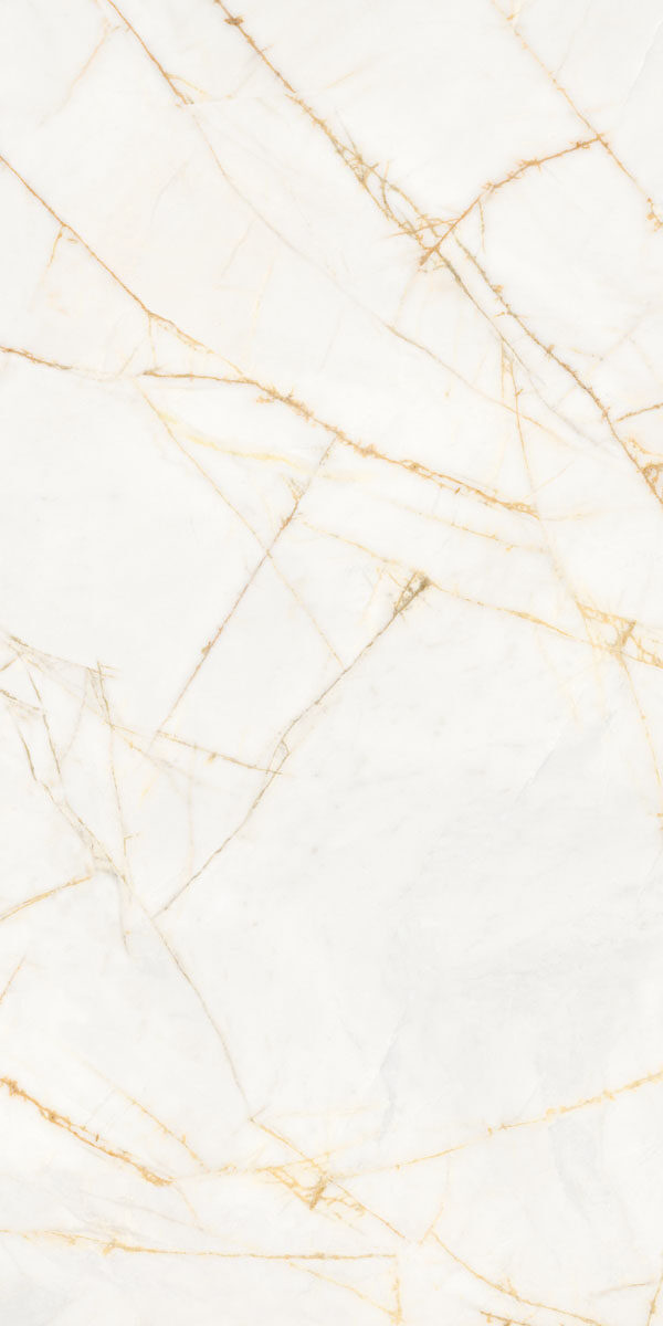 PF60017518 На пол Supreme Hedonism Golden Spider Nat R 60x120 - фото 16