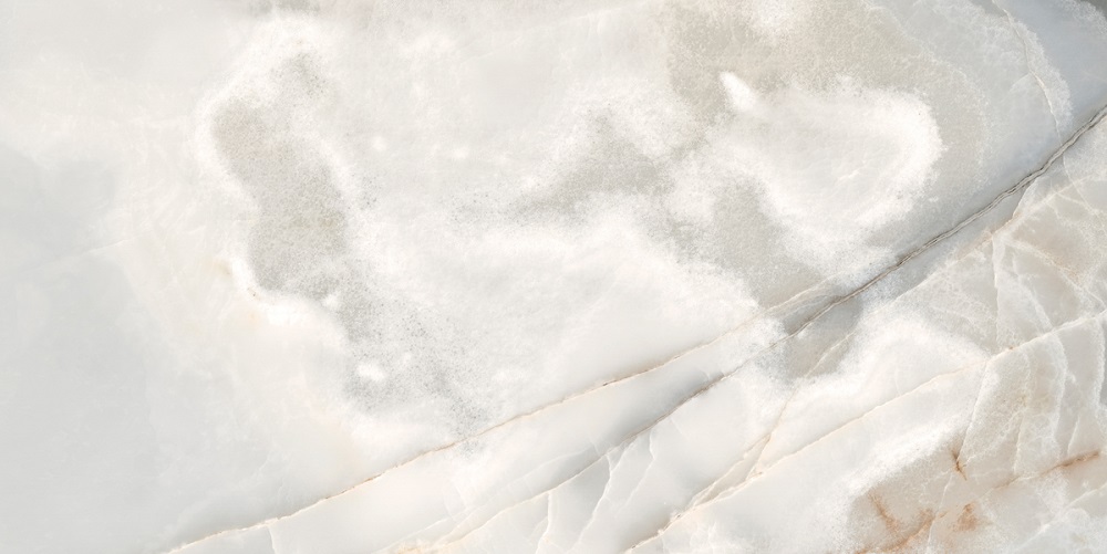 769925 На пол Reves De Rex Noisette Matte 280x120 R - фото 9