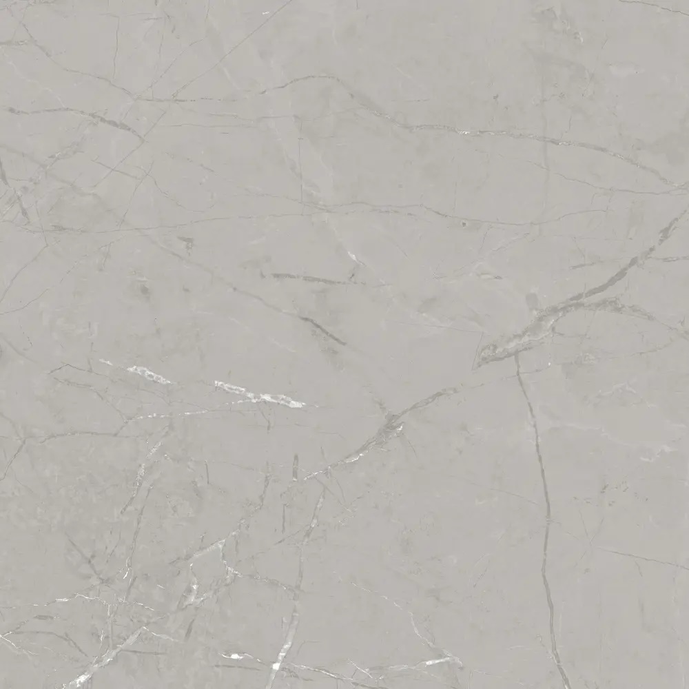 E-1010/MR/600x600x9 На пол Glazed Porcelain MR серый 600x600x9