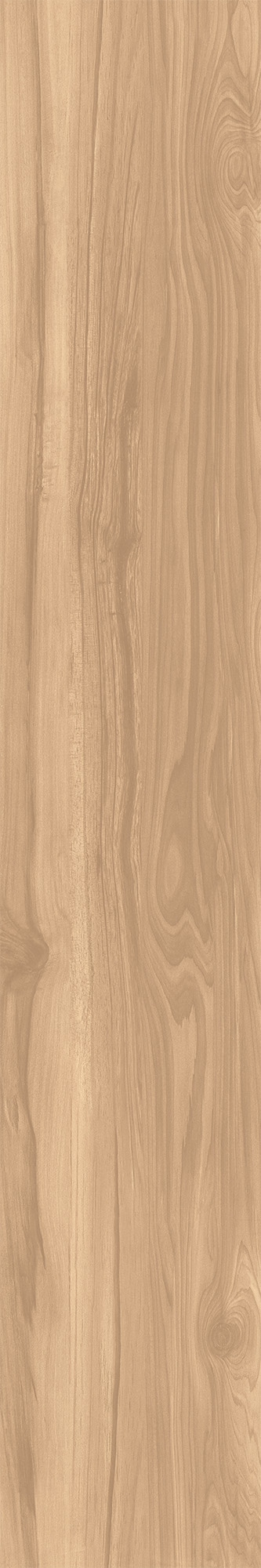 CW-RT09-B На пол Fossil Wood Brich Rustic 20x120 - фото 3