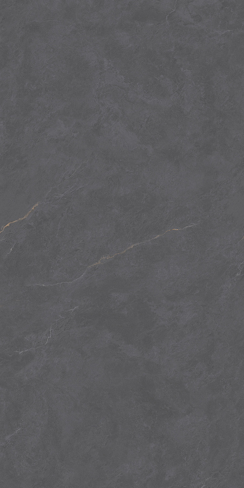 BHW-0024 На пол Cateye Dark Grey Grains Soft-Polished Mould 600x1200x10 - фото 3