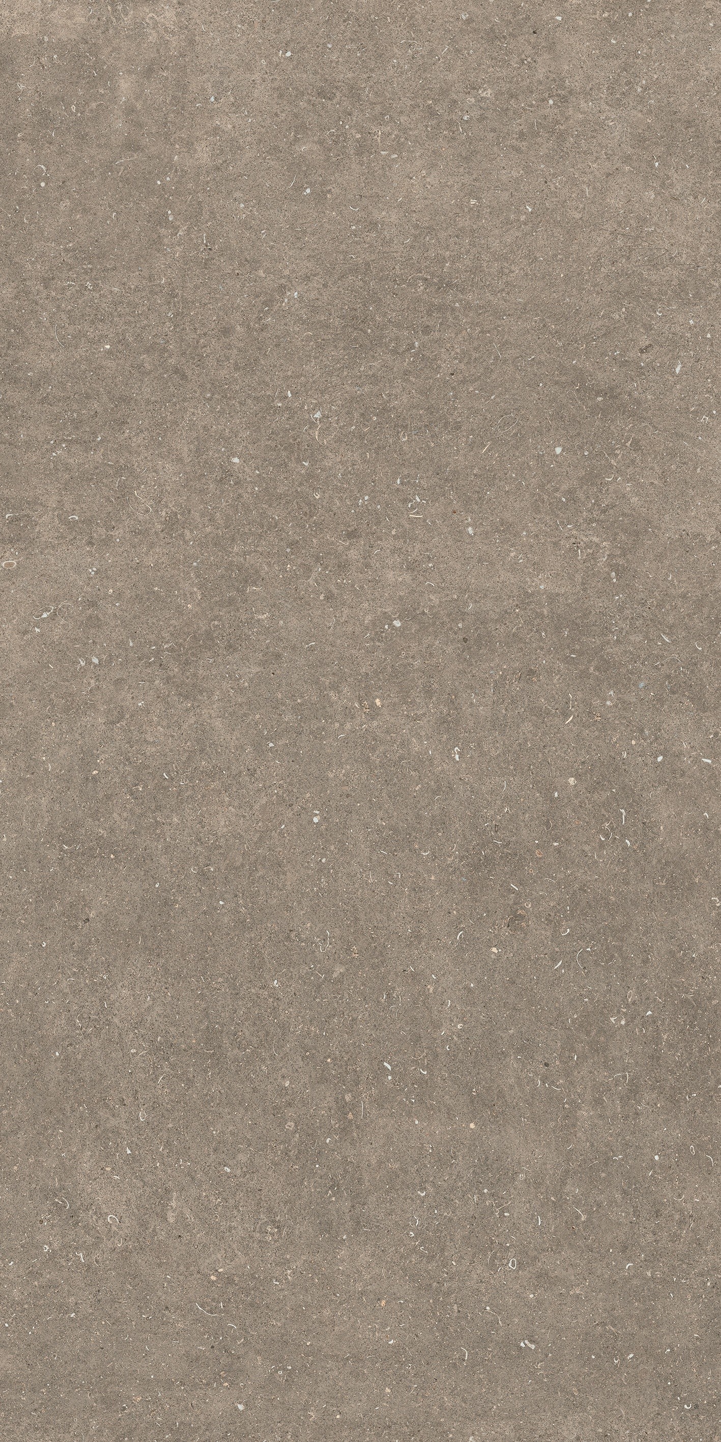 785584 На пол Rinascenza Arena Pietra Matte 6mm 120x240 - фото 3