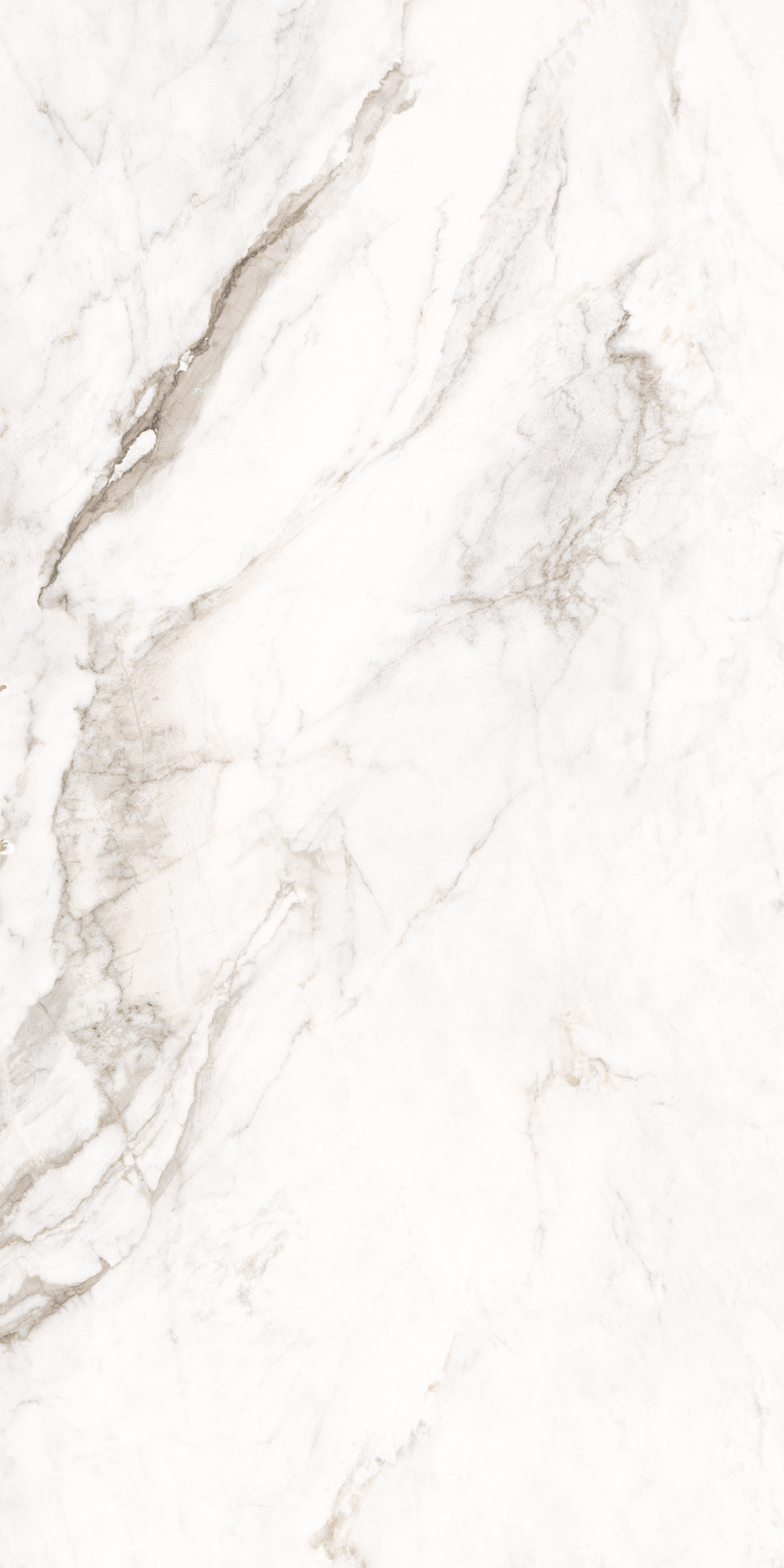 884  На пол Marble 5.5mm Amalfi White 120x60
