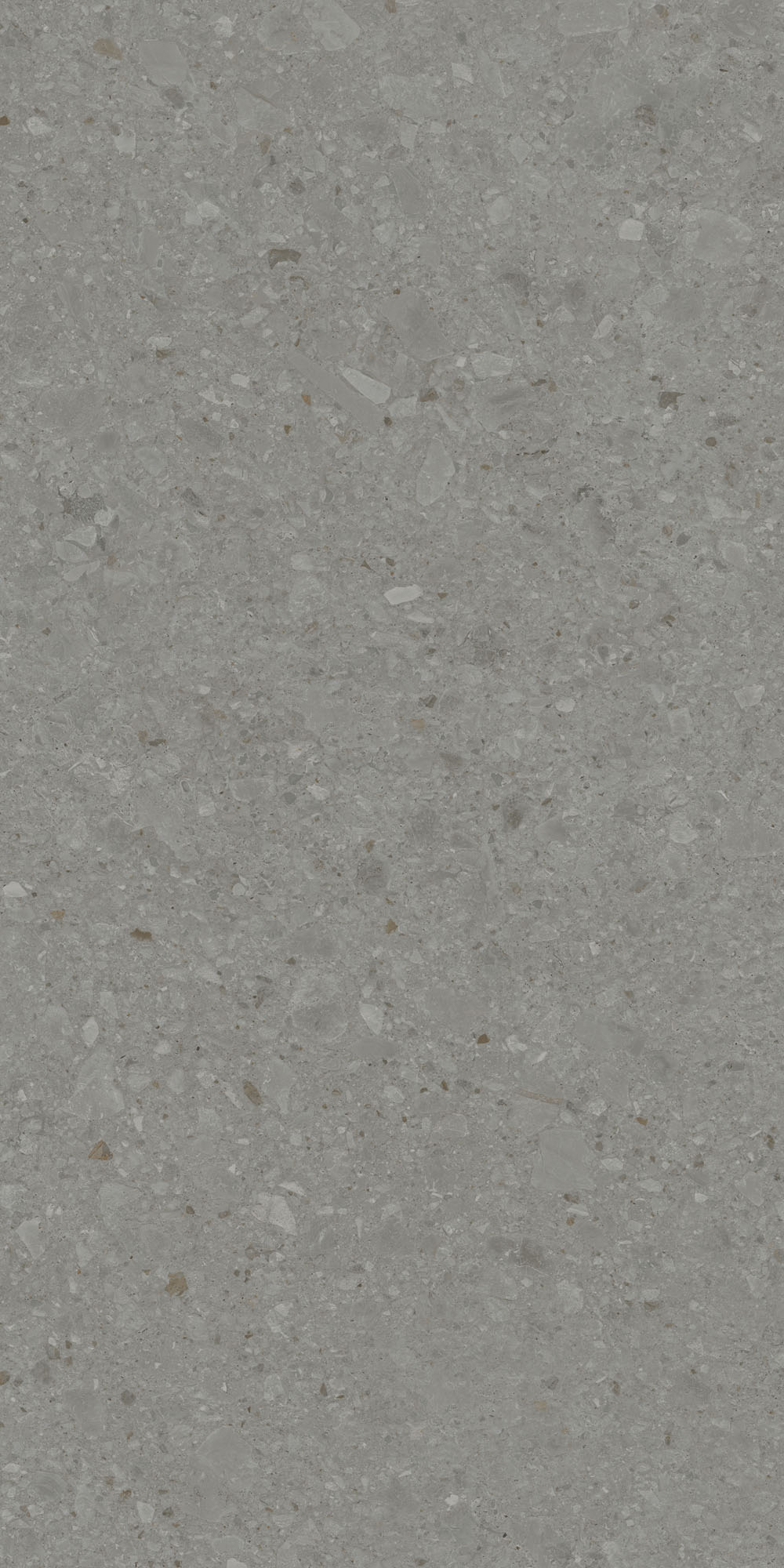 DD591500R На пол Чеппо ди Гре Серый тёмный матовый обрезной 119.5x238.5x1.1 - фото 3