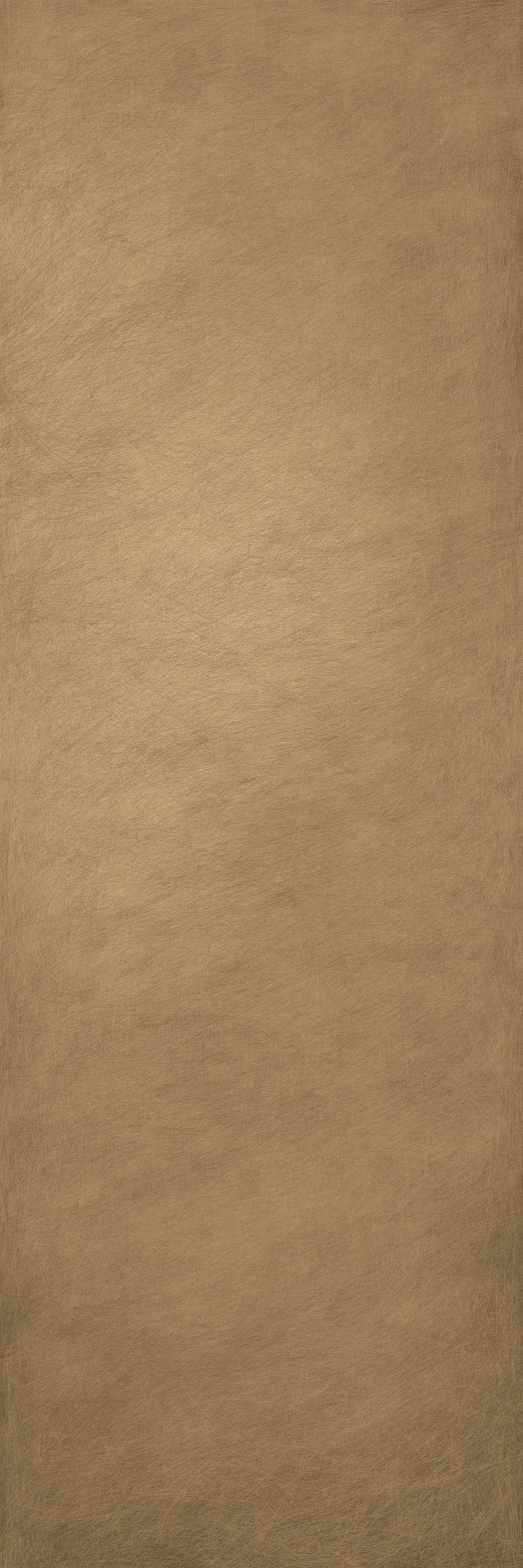 LAMF007467 На стену Seta Or 3+ 100x300 - фото 2