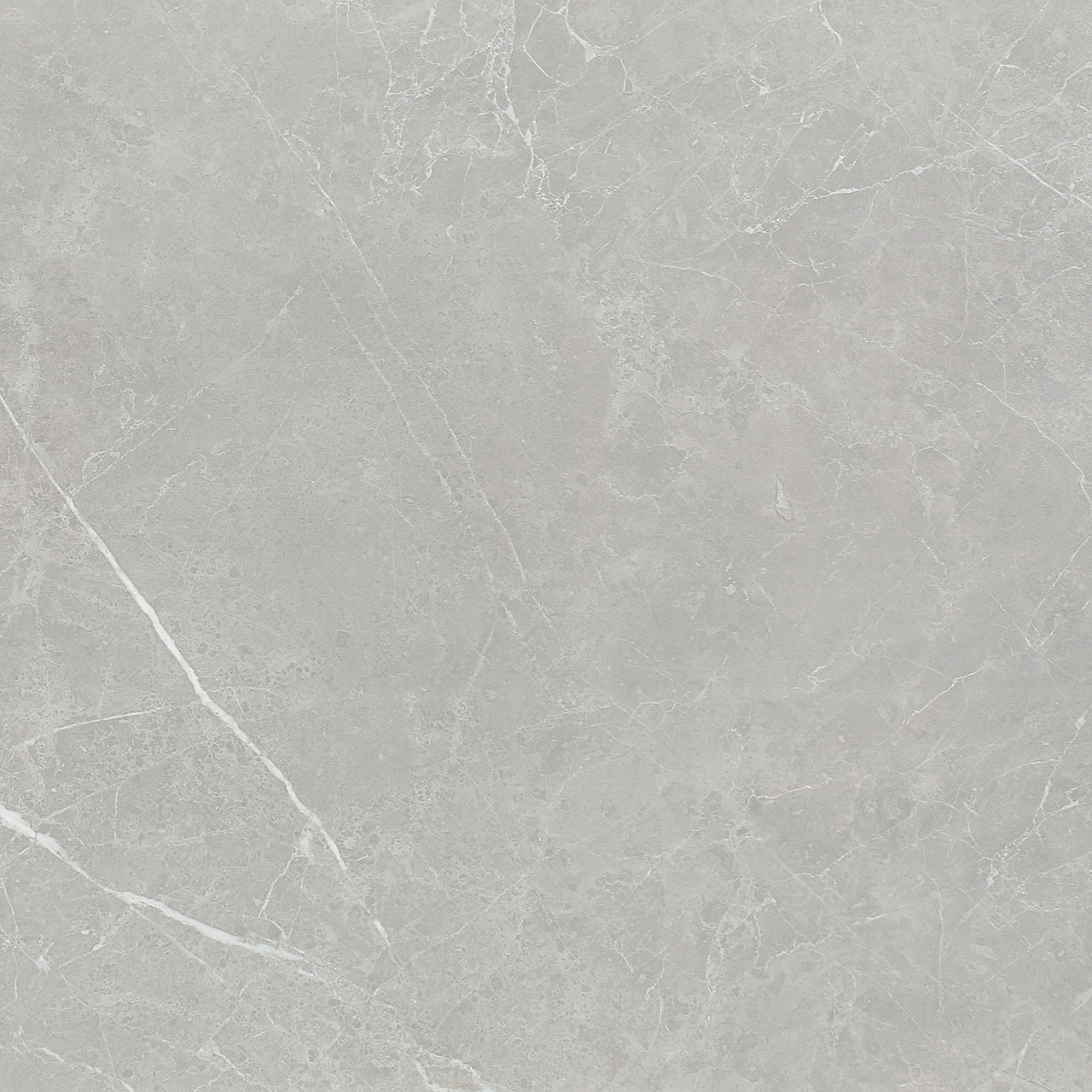 PT6NTT1102L На пол Pietra Серый Лаппатированный 60x60 - фото 8