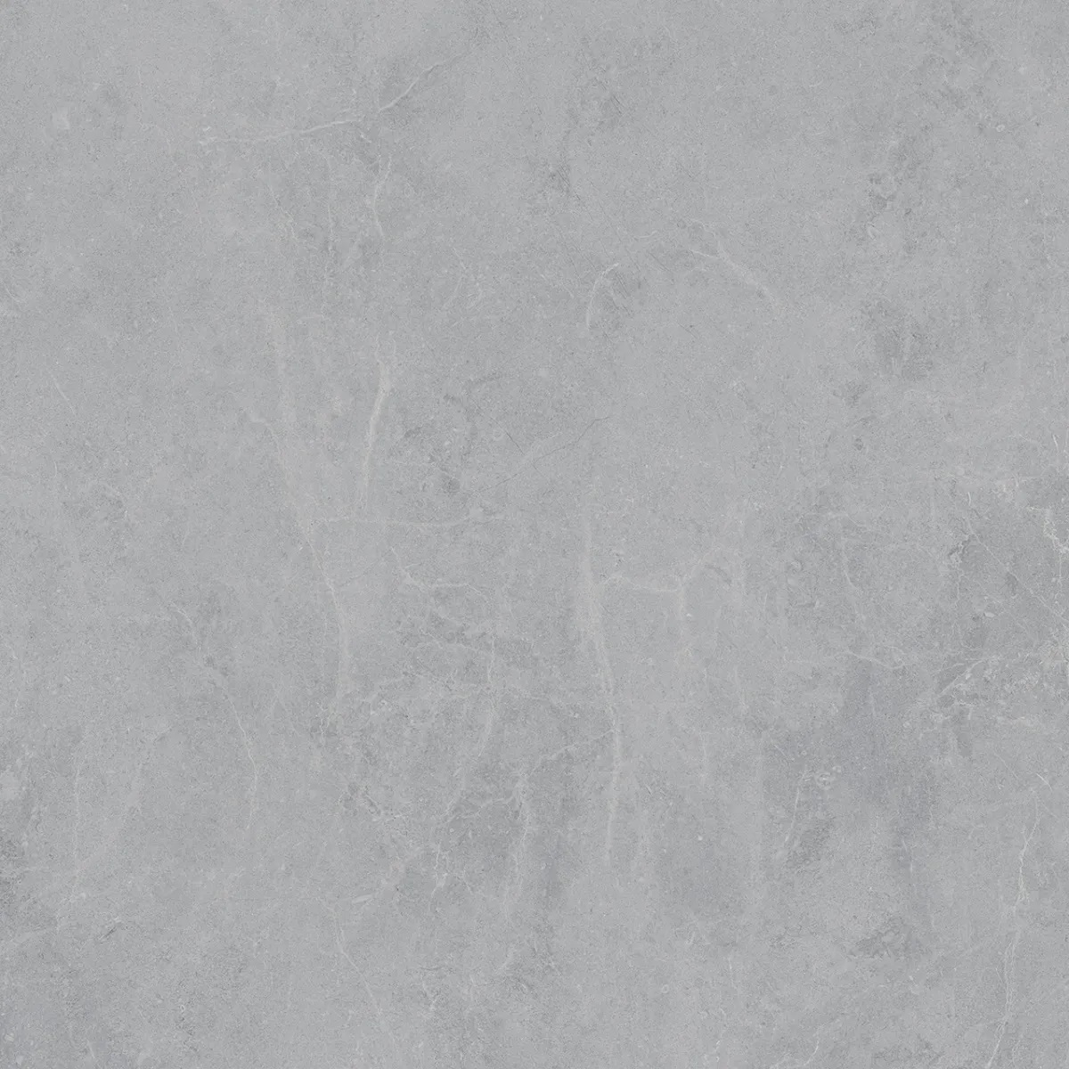 P0007699 На пол Tunez Grey Digital Soft 90x90