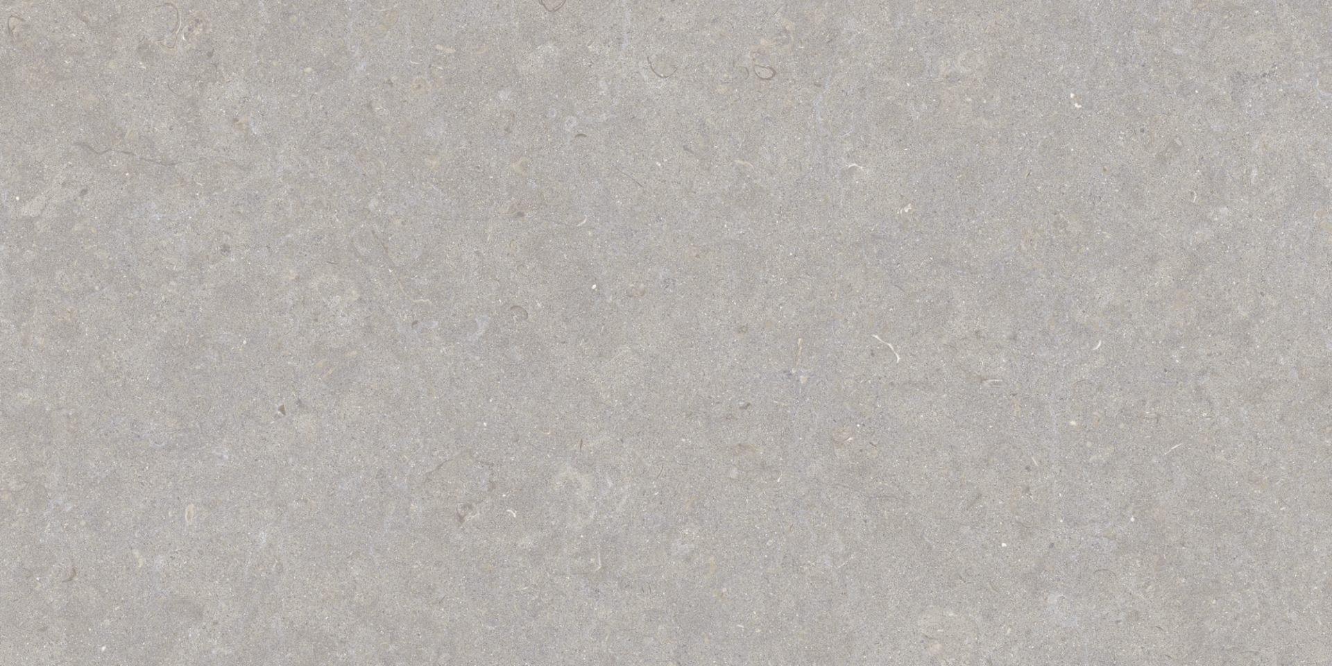 35568 На пол Ghent Grey/50X100X2/A/R 50x100 - фото 9