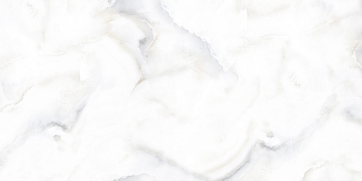 PRO 1149G На пол Dove Onix Gloss 1200x600 - фото 4