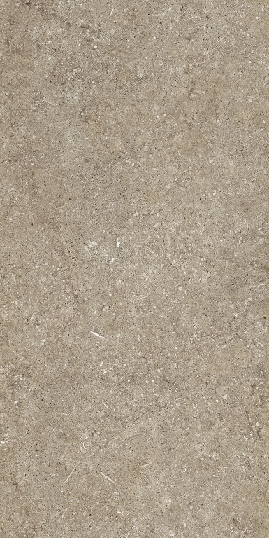 768623 На пол Sensi by Thun Taupe Fossil Nat Ret 6mm 60x120 - фото 2