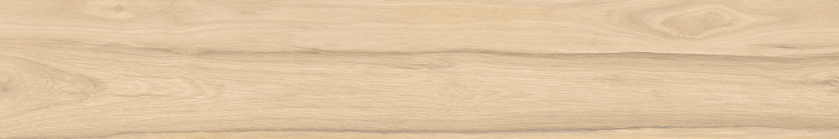 SG517620R На пол Selva Бежевый 19.6x119.1