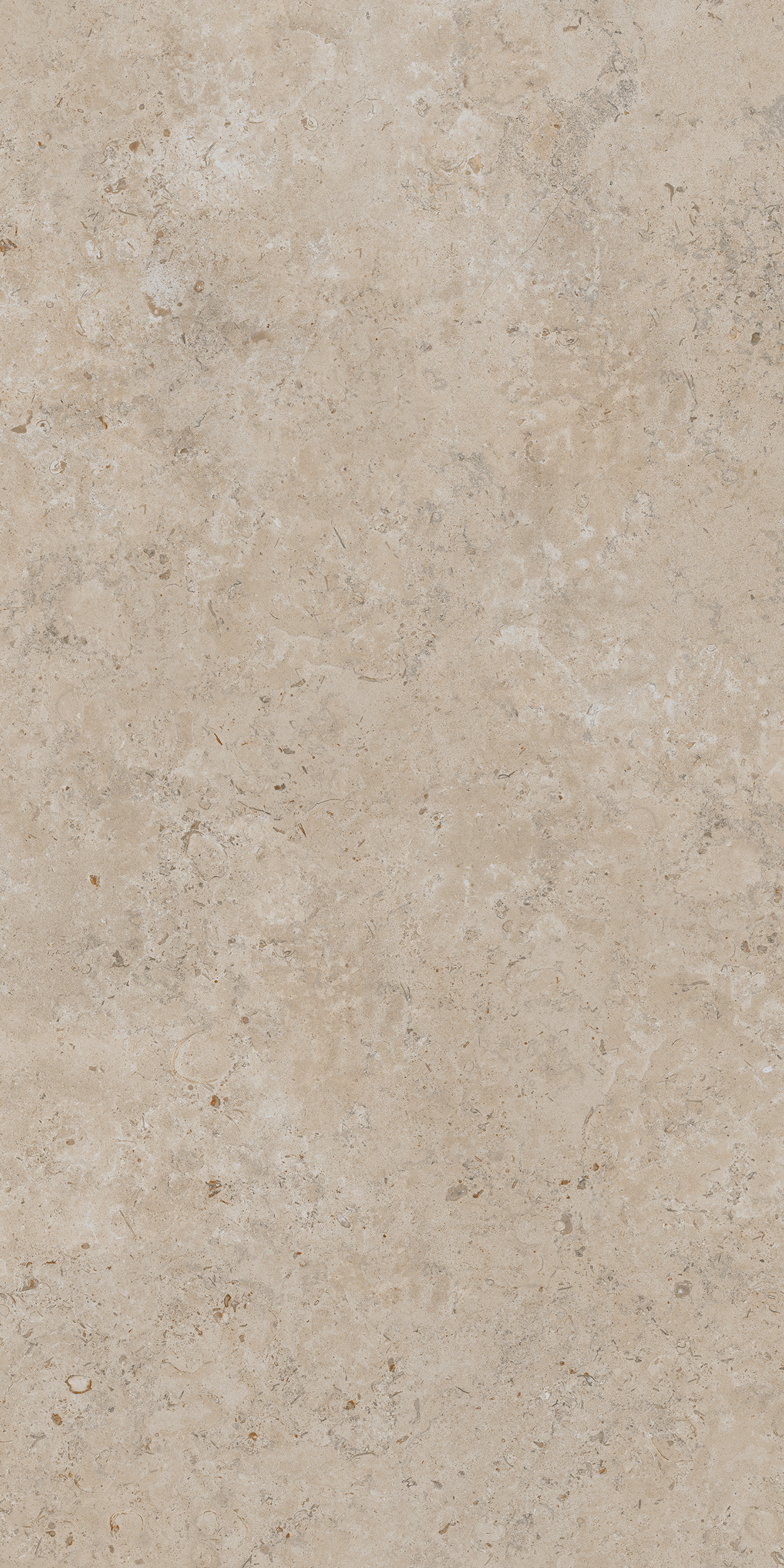 DD590500R На пол Про Лаймстоун Ат Бежевый Темный Натуральный Обрезной 119.5х238.5 - фото 7