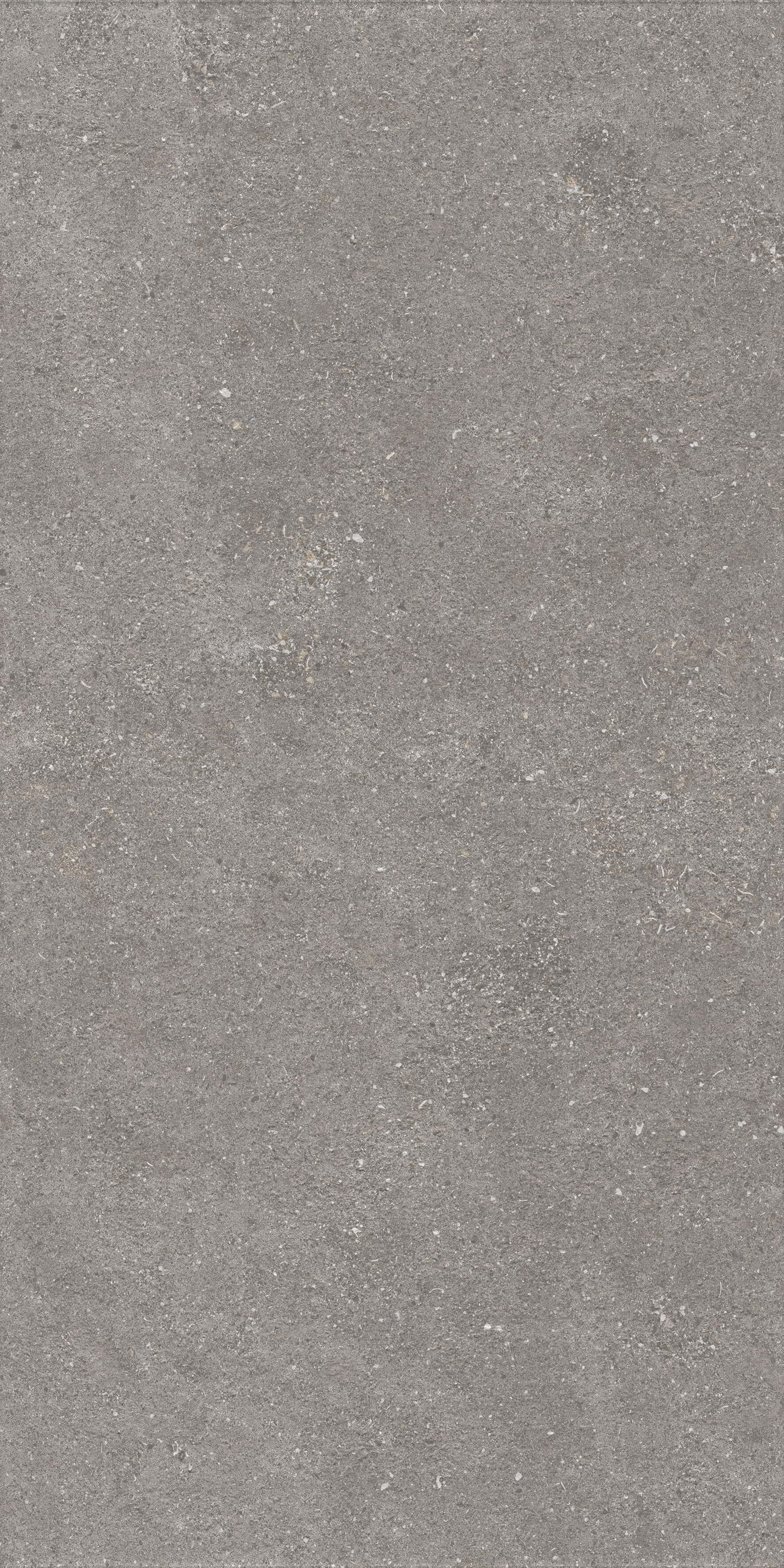 1224 На пол Stone Graniti Grey Matt Ghr 120x60 - фото 4