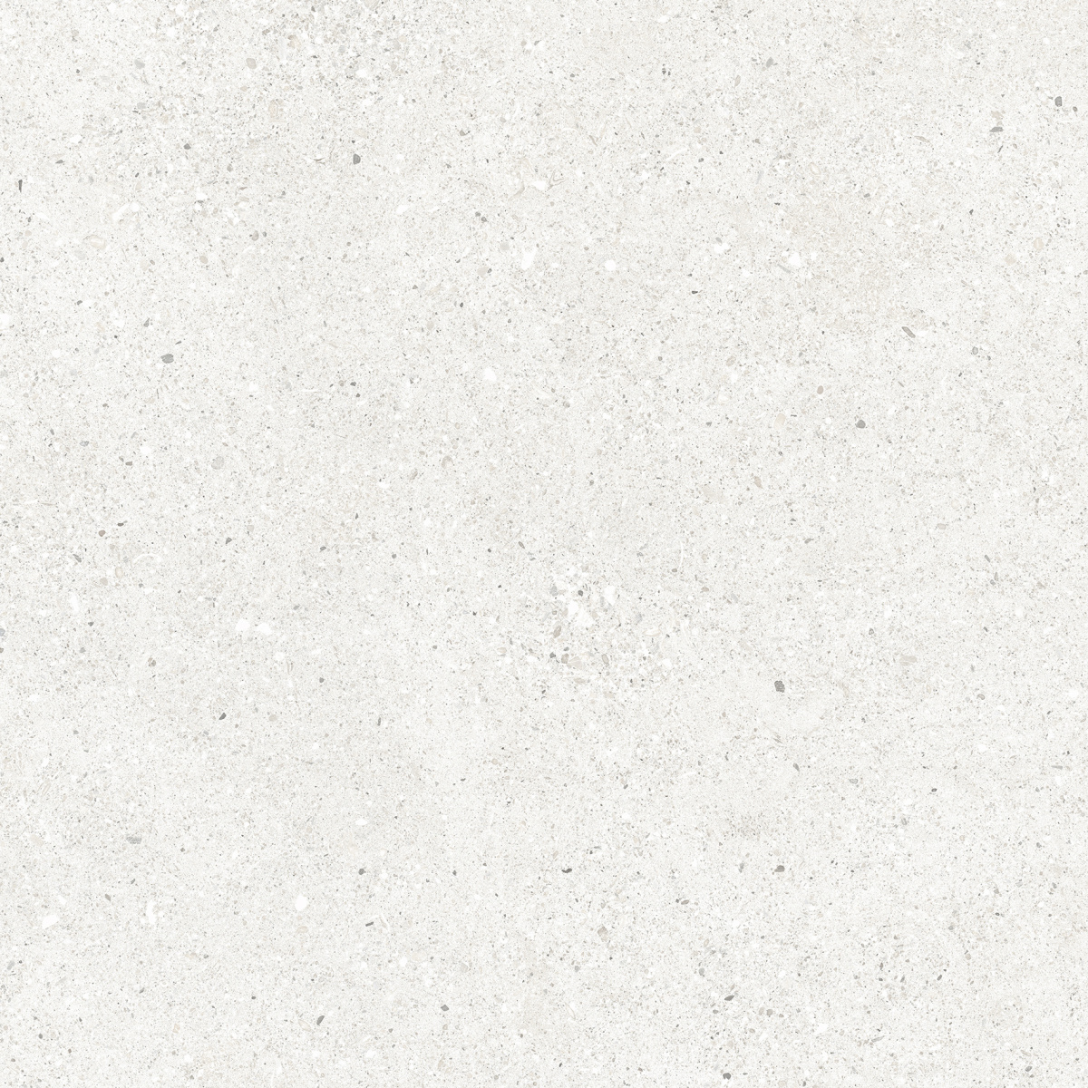 CR6060G0471R На пол Perla Bianco светло-серый матовый 59.5х59.5 - фото 6