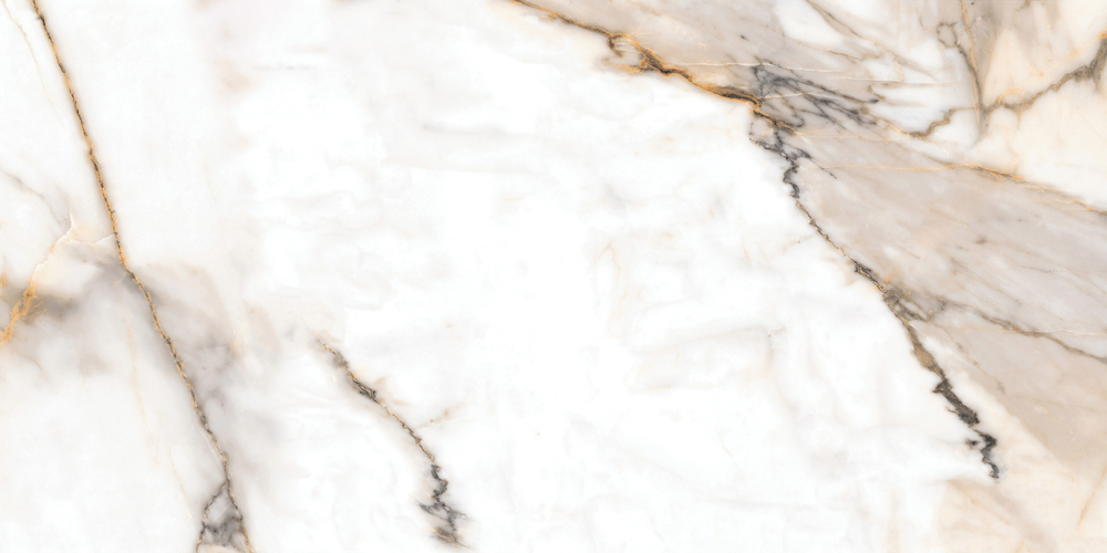 A17432 На пол Silvia Полированный бежевый ректификат 60x120 - фото 4