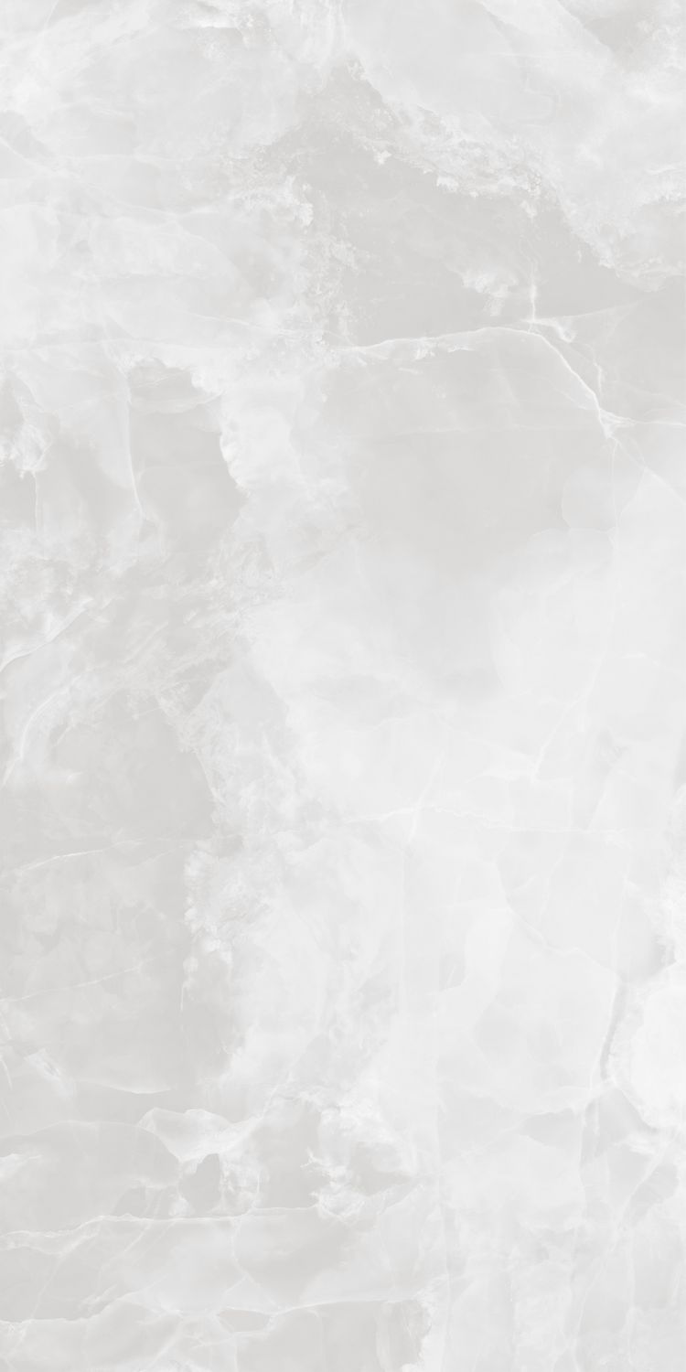 GT1206010703PR На пол Favorito Белый 60x120 - фото 4