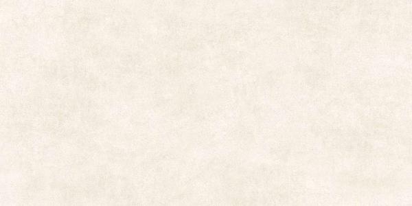 GFU60120BLN04R На пол Berlin Матовый 04R 120x60