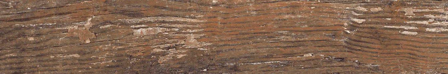 На пол Wood Kiwi Redroot Mat 20x120 - фото 16