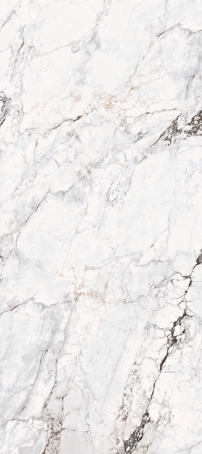 1227FD24 На пол Керамогранит 120x270 Calacatta Glossy 120x270