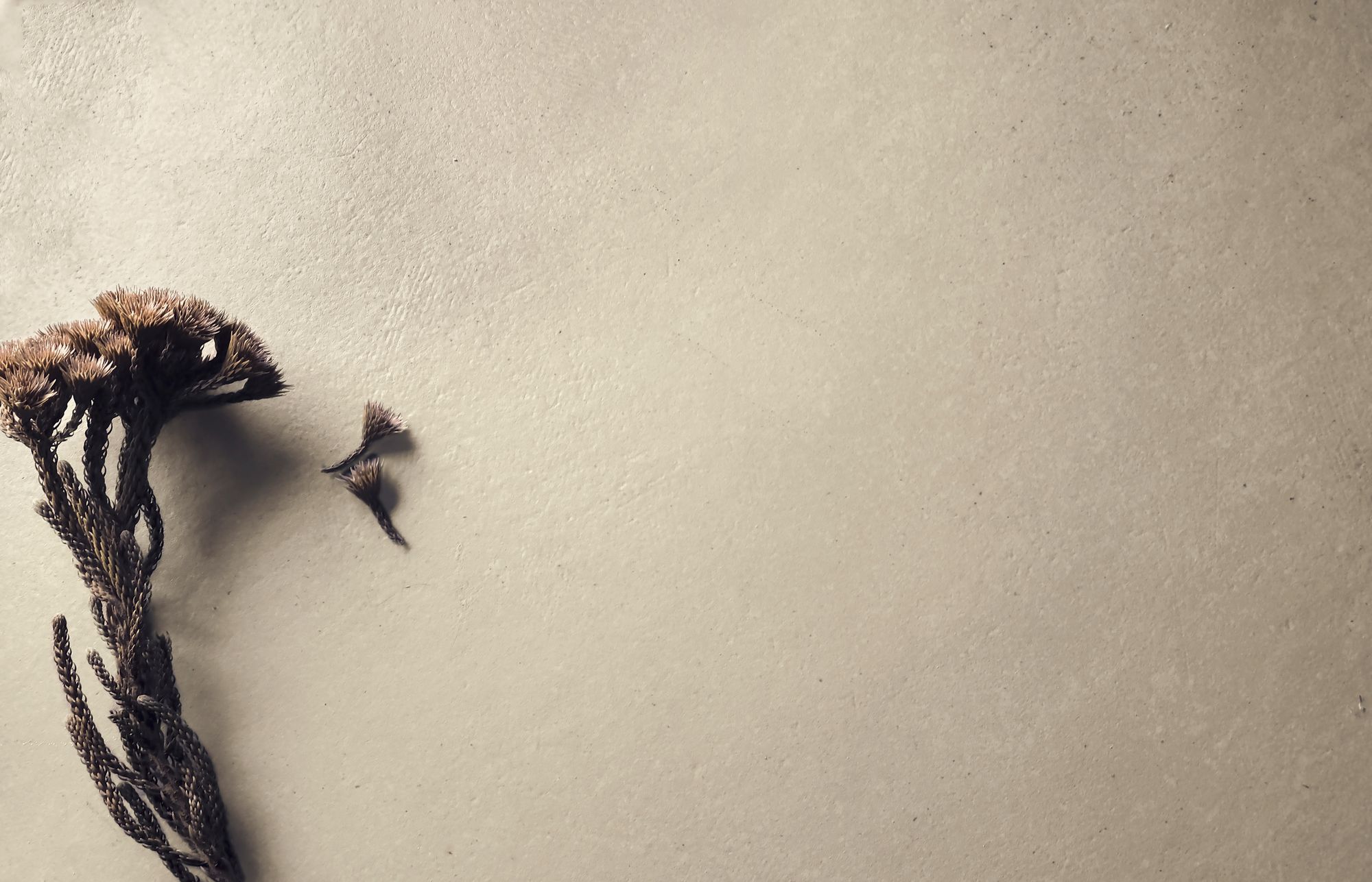 118602 На пол Koine Terra 90x90 - фото 15